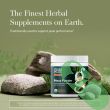 Gaia Herbs gelatinized maca root powder supplement in pouch packaging for natural energy and stamina support.