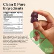 Bulletproof Sugar-Free Raspberry Elderberry Immune Gummies, 60-count keto and vegan supplement bottle