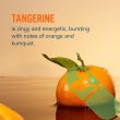 Liquid I.V. Tangerine hydration powder sticks with immune support vitamins