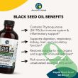 "Front view of Amazing Herbs Black Seed & Pumpkin Seed Cold-Pressed Oil Blend 8 oz bottle"

