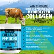 "Amplicell Collagen Peptides Powder dissolves easily in hot and cold drinks"


