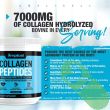 "Amplicell Unflavored Collagen Peptides Powder 300g container for hair, skin, and nails support"

