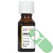 Aura Cacia Pure Essential Oil – Anchoring Ginger 0.5 fl oz bottle with label

