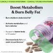 Vegan and Gluten-Free Lemme Burn Weight Management Capsules