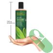 "Desert Essence Tea Tree Replenishing Shampoo 12 oz bottle with green botanical label design"

