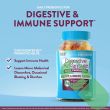 Natural fruit-flavored gummy supplements for digestive support.