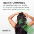 Havasu Nutrition saw palmetto gummies label showing herbal hair support

