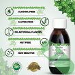 Back label of Herbion Naturals Ivy Leaf Cough Syrup bottle displaying dosage instructions


