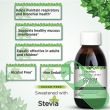 Herbion Naturals Ivy Leaf Cough Syrup 5 FL Oz bottle with green and white label design

