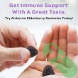 Immune Booster Vitamin Gummies with Elderberry - Airborne