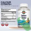Mixed Fruit Flavor Calcium Citrate Chewables