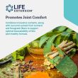 Life Extension Arthro Immune Joint Support 60 vegetarian capsules bottle label

