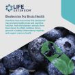 life extension blueberry extract bottle antioxidant brain support

