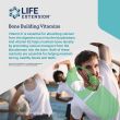Front label of Life Extension Bone Restore with Vitamin K2 showing essential bone health nutrients.

