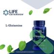 Life Extension L-Glutamine capsules bottle on white background with clear product label

