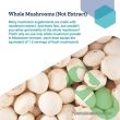 life extension mushroom immune supplement with shiitake maitake chaga

