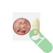 Nature Made Multivitamin For Him 90 Tablets bottle on white background for clean supplement display.

