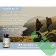 “Supplement facts panel of NatureWise Marine Magnesium 300 mg 90 softgels”

