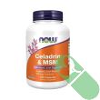 now-celadrin-msm-back – Supplement facts panel of NOW Celadrin & MSM

