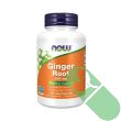 NOW Ginger Root bottle with vegetarian capsules spilled next to it emphasizing natural digestive aid

