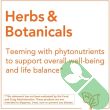 Front label of NOW Saw Palmetto Berries men’s health supplement in vegetarian capsules

