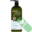 Avalon Organics Scalp Treatment Tea Tree Conditioner bottle next to tea tree leaves and aloe vera plant

