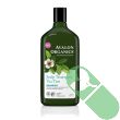 Avalon Organics Scalp Treatment Tea Tree Shampoo displayed with natural ingredients

