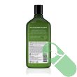 Avalon Organics Scalp Treatment Tea Tree Shampoo with tea tree leaves and aloe vera

