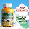 Addot WellLife Hemp Vitamin Gummies in a wellness routine – daily support for calm, clarity, and stress relief