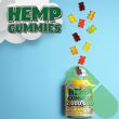 Addot WellLife Hemp Vitamin Gummies label showing vegan, non-GMO, and gluten-free icons for clean supplement assurance