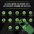 "Supplement facts panel for Urinozinc Prostate Plus, outlining key nutrients for urinary and prostate support."

