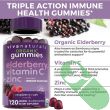Viva Naturals Organic Black Elderberry Gummies with Vitamin C & Zinc bottle on white background with fruit and berry graphics.

