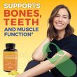 Daily Health Boost with Viva Naturals Vitamin D3 5000 IU Gummies