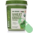 "Close-up of BareOrganics Wheat Grass Powder showcasing fine green texture"

