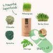 Forever Beautiful Mix powder packaging highlighting antioxidant berry ingredients.

