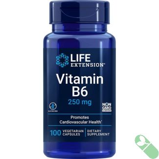 Top-down view of Life Extension Vitamin B6 250mg 100 vegetarian capsules, clean packaging for daily wellness.

