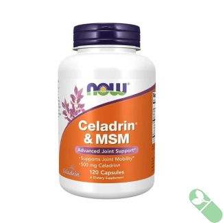 now-celadrin-msm-back – Supplement facts panel of NOW Celadrin & MSM

