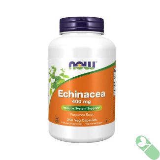 NOW Echinacea 400mg Immune System Support 250 Veggie Caps