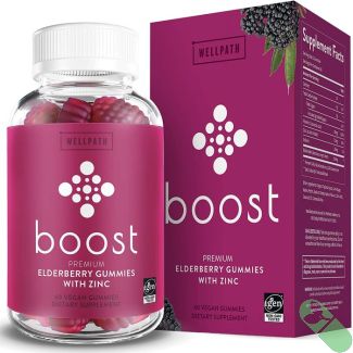 “WellPath Boost Elderberry Zinc Gummies bottle angled view showcasing packaging”

