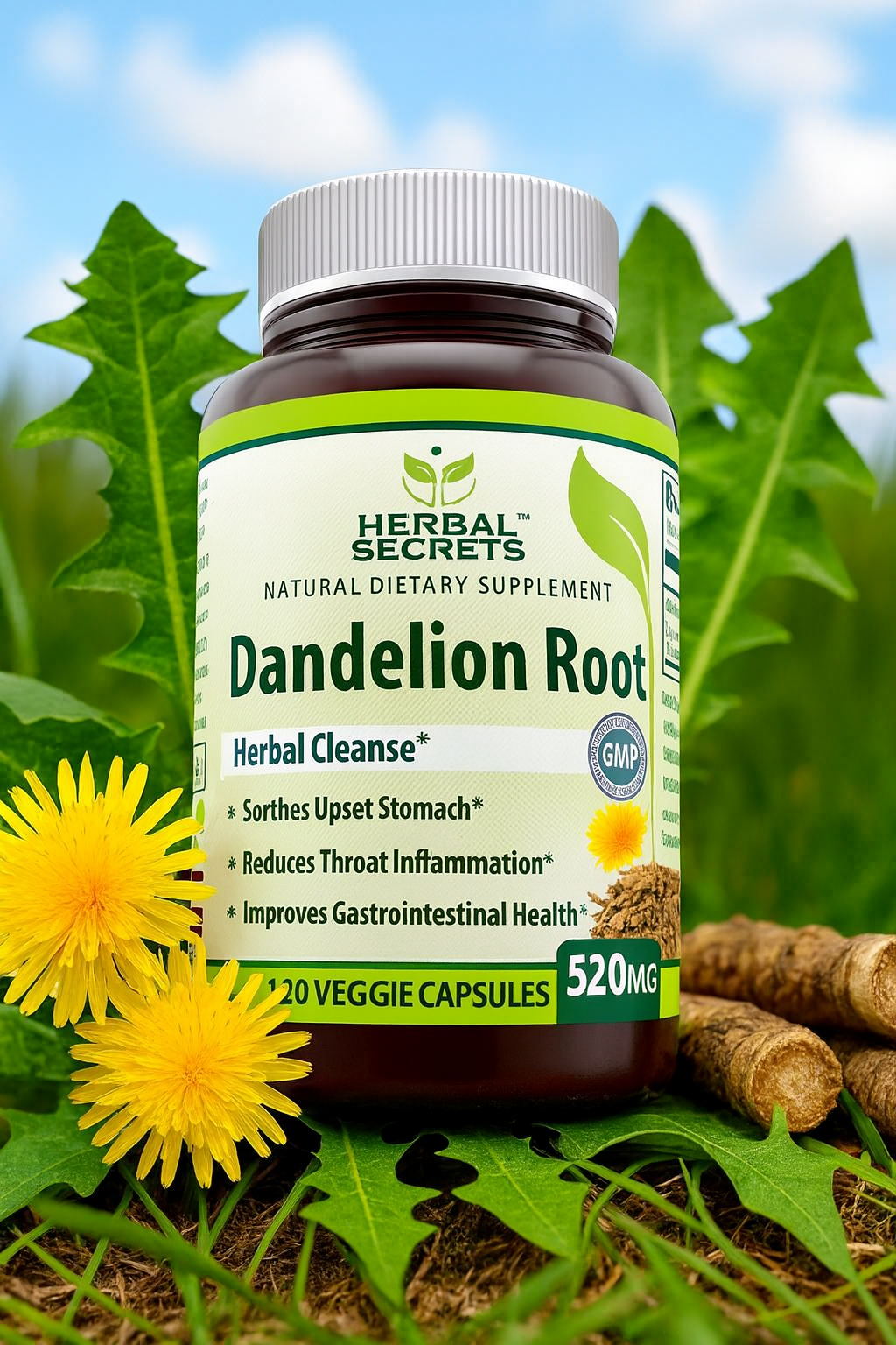 Herbal Secrets Dandelion Root 520 mg — Complete Review & Insights