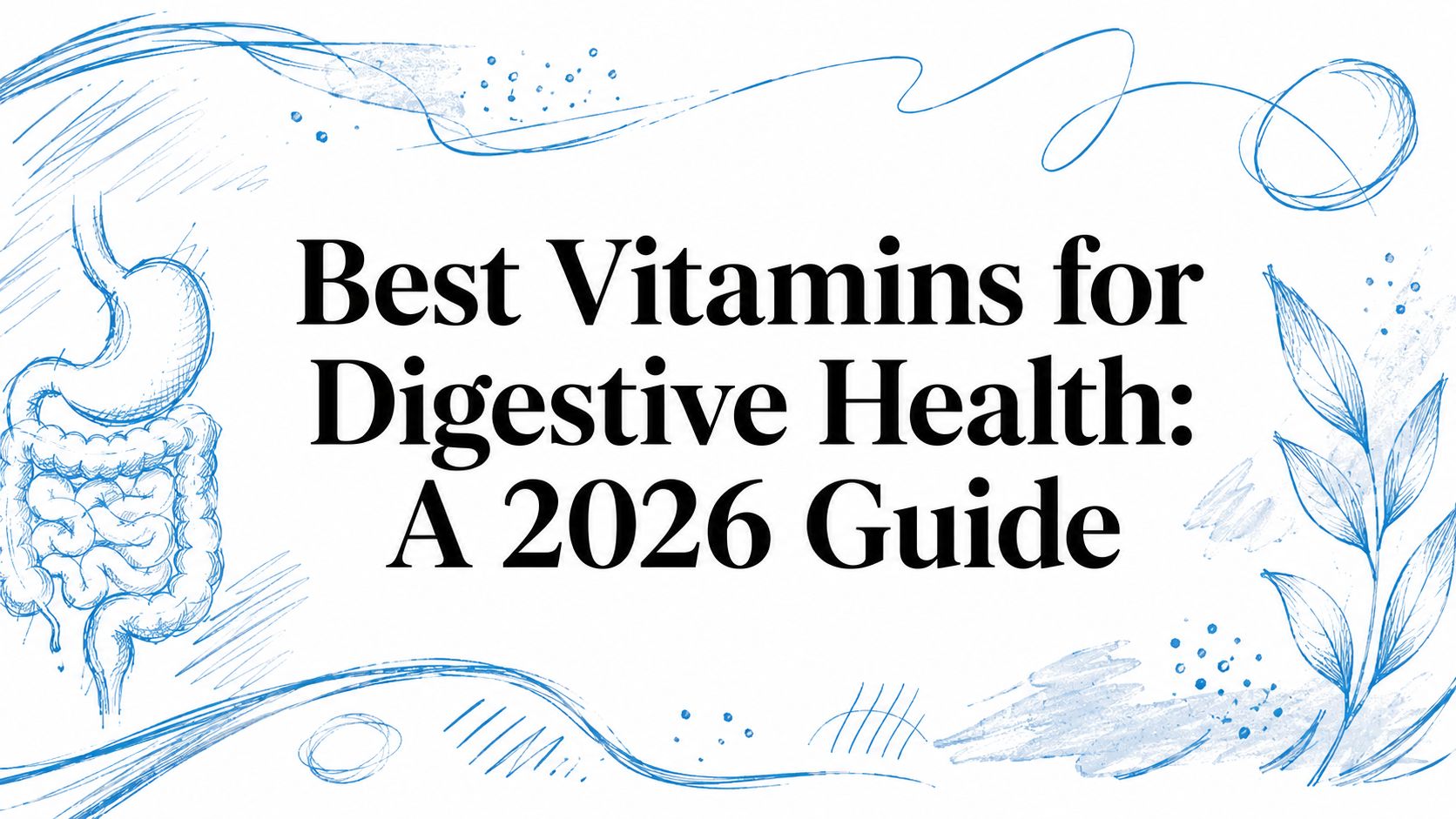 Best Vitamins for Digestive Health: A 2026 Guide