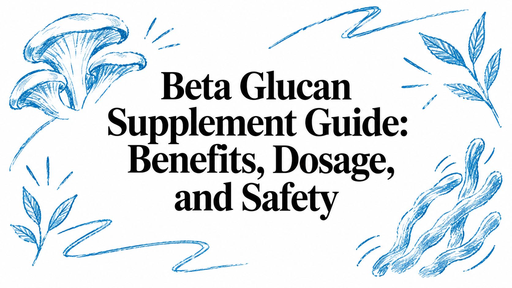 Beta Glucan Supplement Guide: Benefits, Dosage, and Safety
