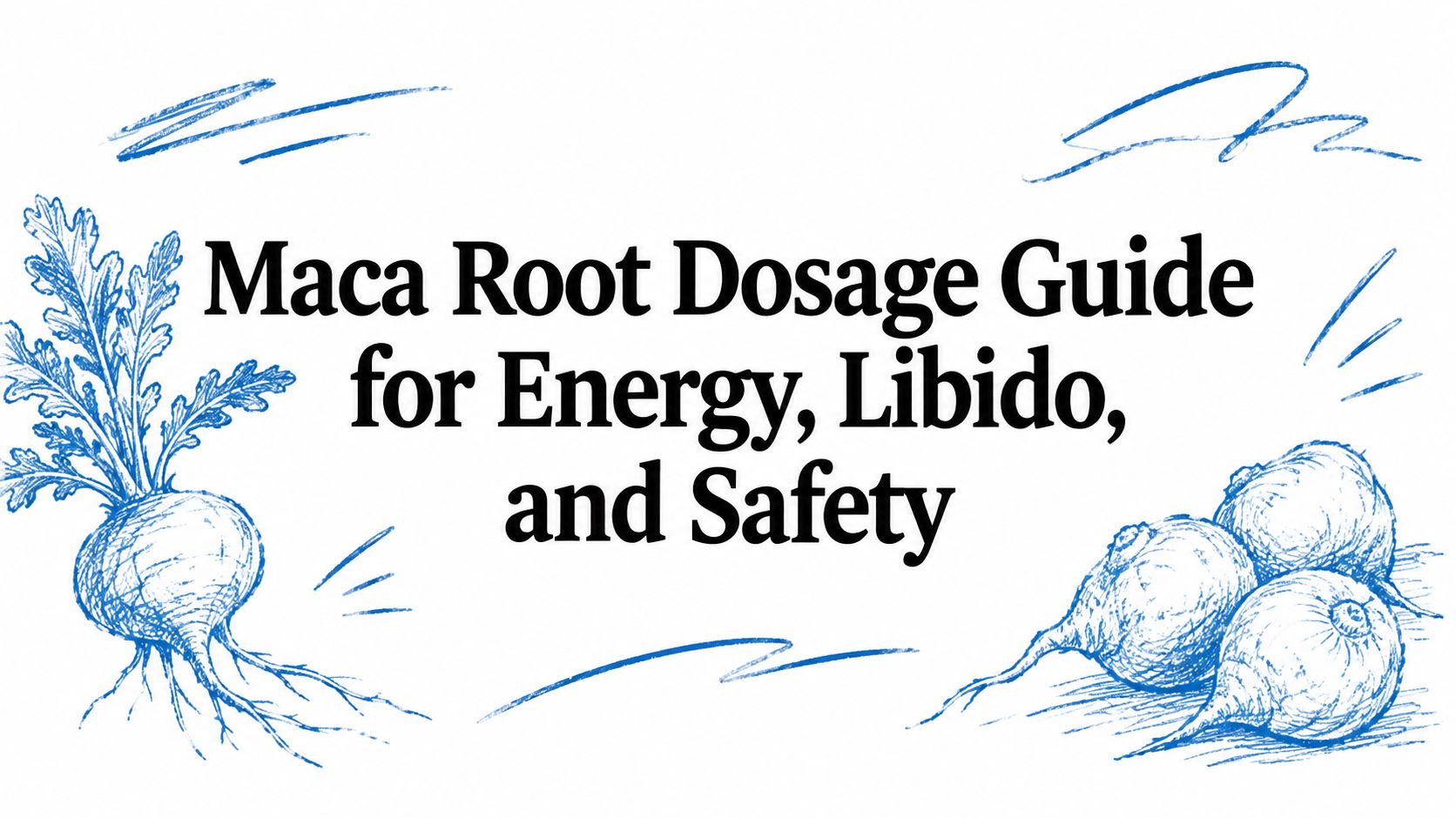 Maca Root Dosage Guide for Energy, Libido, and Safety